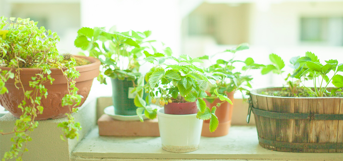 神戸市灘区永手町 六甲道駅 内科 放射線科 呼吸器内科