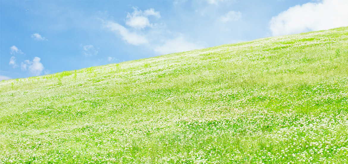 神戸市灘区永手町 六甲道駅 内科 放射線科 呼吸器内科